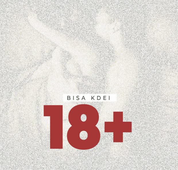 18+ (Prod. by Bisa Kdei) - Bisa Kdei