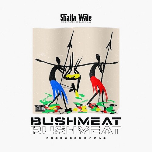 SHATTA WALE - Bushmeat