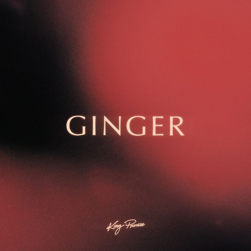 Ginger (Prod. by JAE5) - King Promise