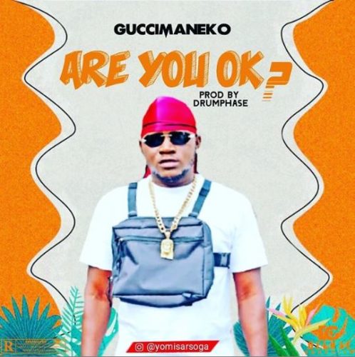 Are You Ok- - Guccimaneeko
