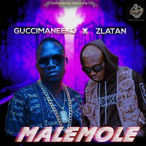 Malemole - Guccimaneeko ft. Zlatan