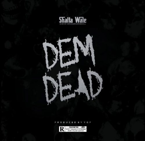 Shatta Wale - Dem Dead
